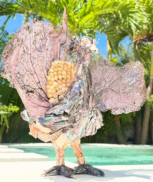 Seashell Peacock