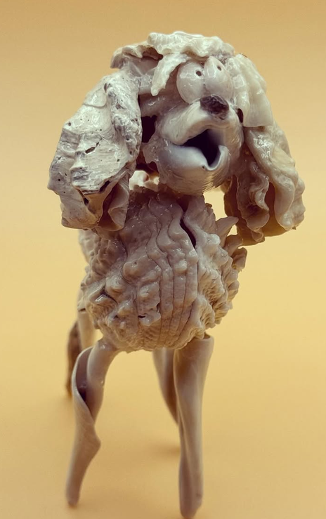 Happy Poodle