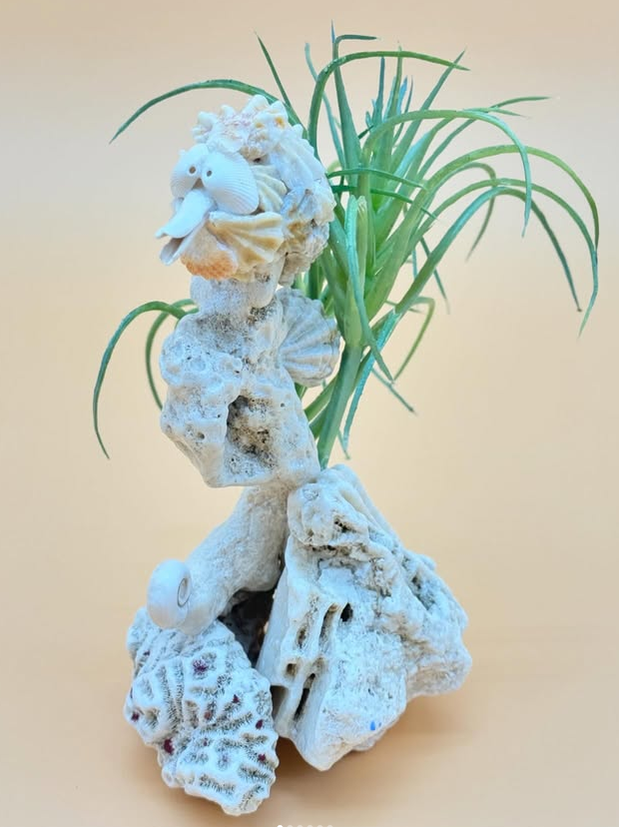 Seahorse in Seaweed