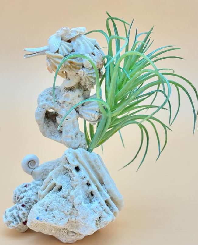 Seahorse in Seaweed