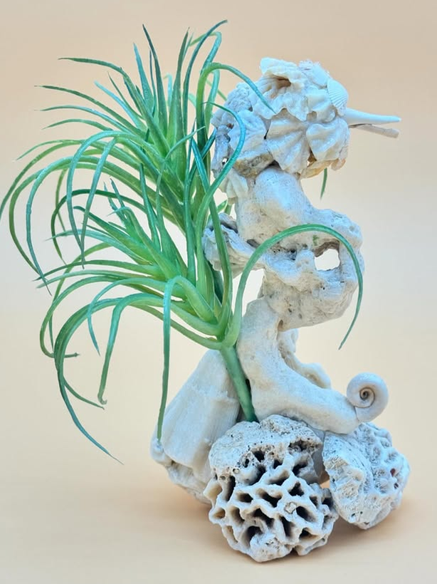 Seahorse in Seaweed