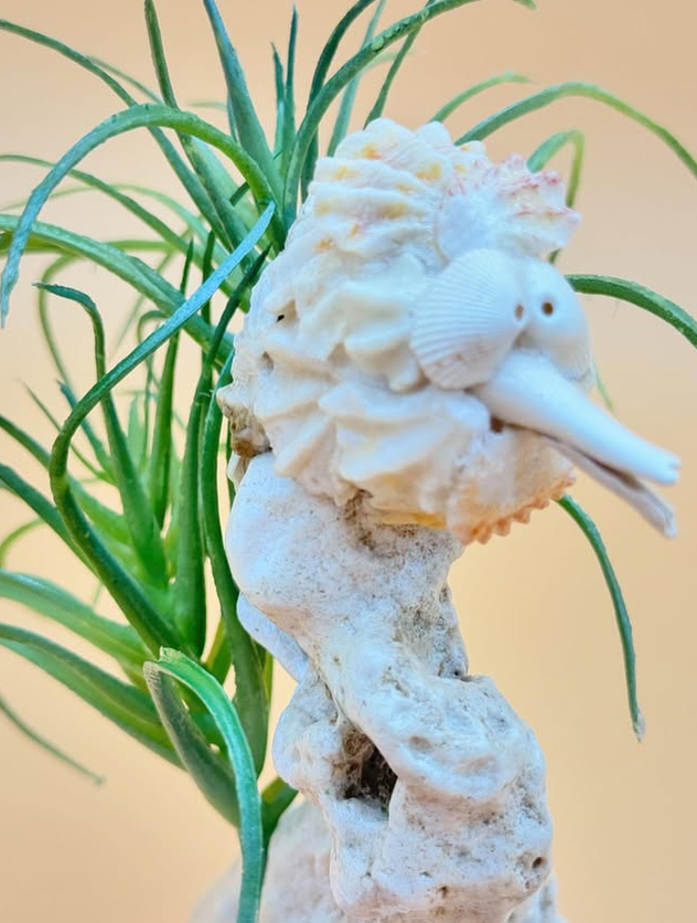 Seahorse in Seaweed