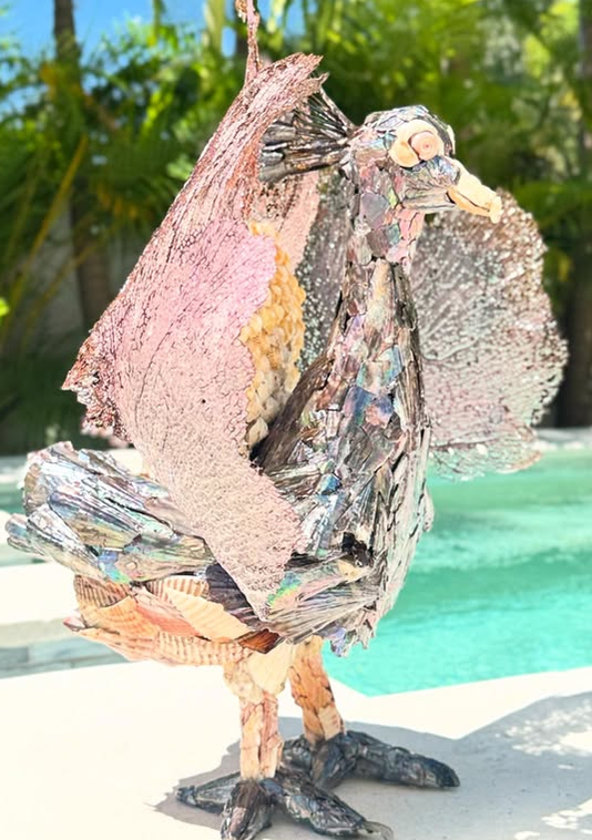 Seashell Peacock