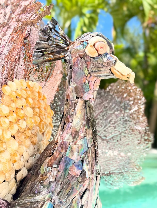 Seashell Peacock
