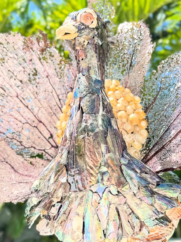 Seashell Peacock