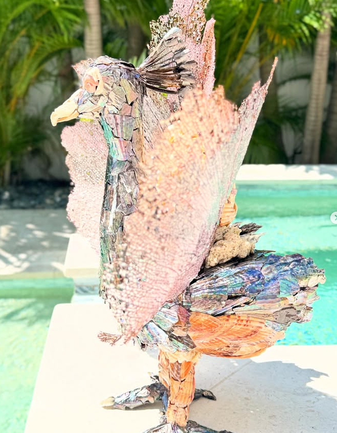 Seashell Peacock