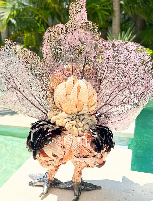 Seashell Peacock