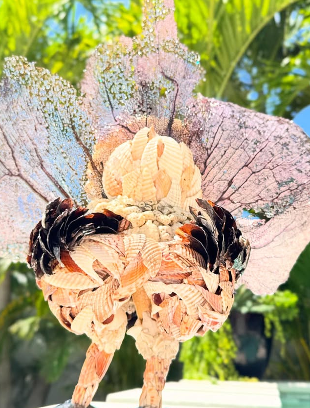 Seashell Peacock