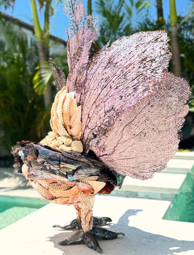 Seashell Peacock