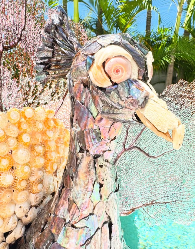 Seashell Peacock